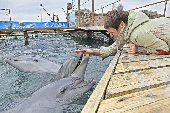 Анна Демидова и дельфины