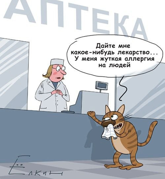 карикатура