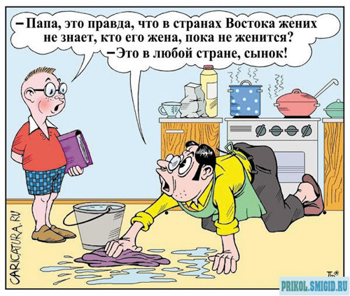 карикатура6