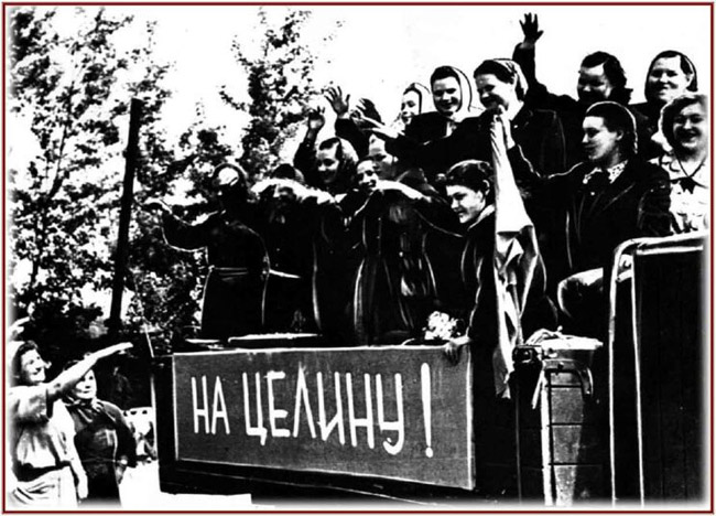 целина целина