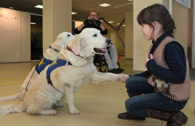 Учебно-кинологический центр «Собаки – помощники инвалидов» участвует в выставке с первого года