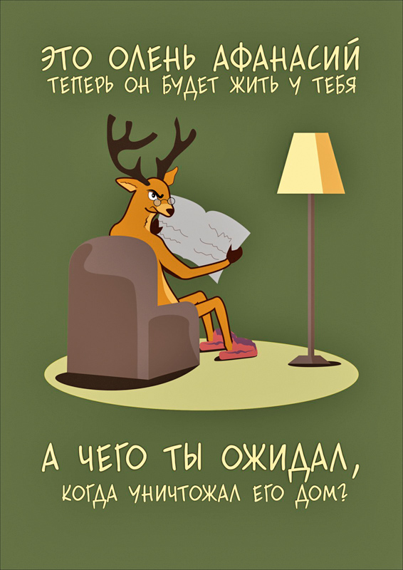 выборы выборы